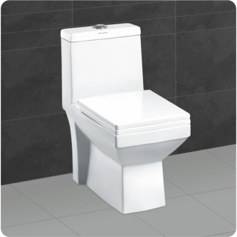 Buy Belmonte Bathroom Toilet Commode Ripone S Trap With Wall Hung B...