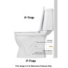 Belmonte P Trap Floor Mounted One Piece Western Toilet Commode Ripone White