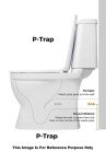 Belmonte Floor Mounted P Trap Bathroom Toilet Seat Square White