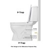 Belmonte P Trap Black Glossy One-Piece Western Toilet - DUNE-P-BLACK