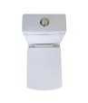 Combo of Belmonte Western Commode Square with Aldus Pedestal Wash Basin - Ivory