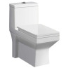 Combo of Belmonte Water Closet Ripone S Trap With LCD Pedestal Wash Basin - White