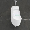 Belmonte Evans Wall Mount Male Urinal Pot - White Ceramic Glossy Finish 310x290x580mm Belmonte Evans Wall Mount Male Urinal Pot - White Ceramic Glossy Finish 310x290x580mm