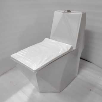 One Piece EWC - White S Trap | 9 Inch | Floor Mount Toilet