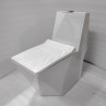One Piece EWC - White S Trap | 9 Inch | Floor Mount Toilet