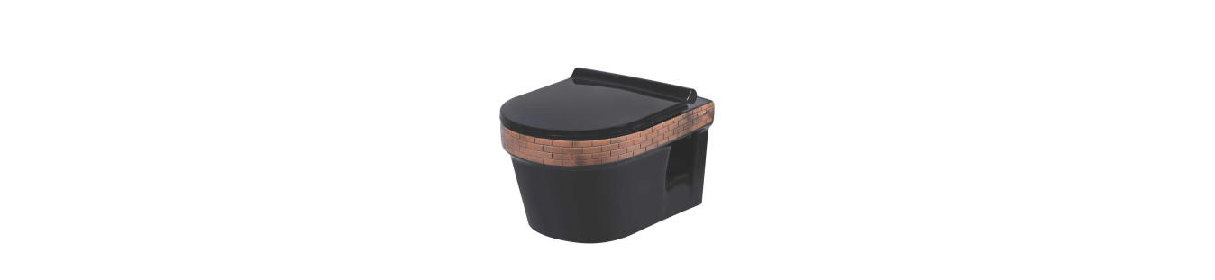 Buy Designer Wall Hung Commode, EWC Toilets online in India at best prices
