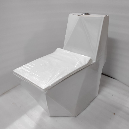 One Piece EWC - White S Trap | 9 Inch | Floor Mount Toilet