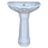 Combo of Belmonte Water Closet Square S Trap with Lotus Pedestal Wash Basin - White