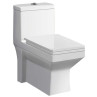 Belmonte Bathroom Toilet Commode Ripone S Trap With Wall Hung Basin Lily White Belmonte Bathroom Toilet Commode Ripone S Trap With Wall Hung Basin Lily White