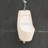 Belmonte Evans Ivory Ceramic Glossy Wall Mount Male Urinal Pot 310x290x580mm Belmonte Evans Ivory Ceramic Glossy Wall Mount Male Urinal Pot 310x290x580mm