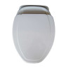 Belmonte Wall Hung Water Closet Cansil With Flush Valve & Soft Close Seat Cover - Ivory