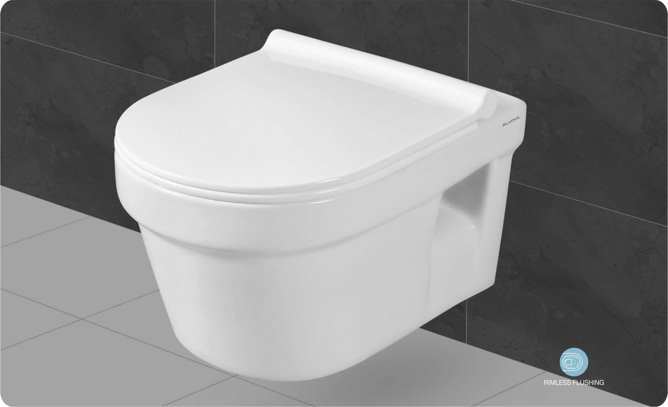 Rimless Wall Hung Commodes