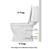 Belmonte One Piece S/P Trap Toilet Commode Floor Mounted - Square