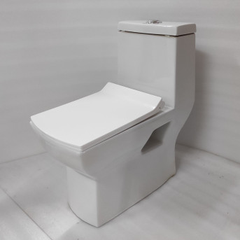 One Piece Toilet Special Sale - White S Trap Floor Mount