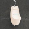 Belmonte Evans Ivory Ceramic Glossy Wall Mount Male Urinal Pot 310x290x580mm Belmonte Evans Ivory Ceramic Glossy Wall Mount Male Urinal Pot 310x290x580mm