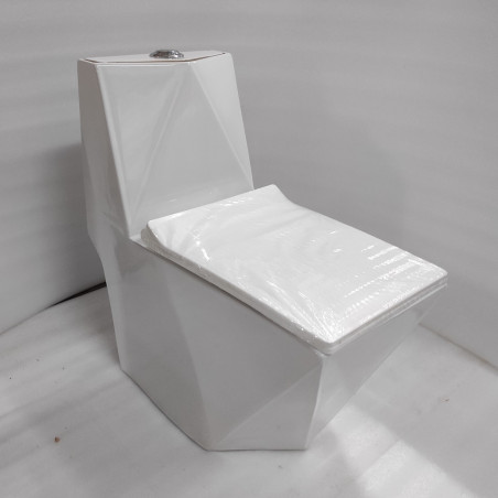 One Piece EWC - White S Trap | 9 Inch | Floor Mount Toilet