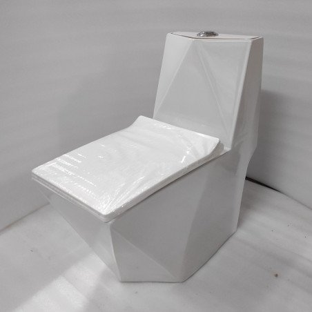 One Piece EWC - White S Trap | 9 Inch | Floor Mount Toilet