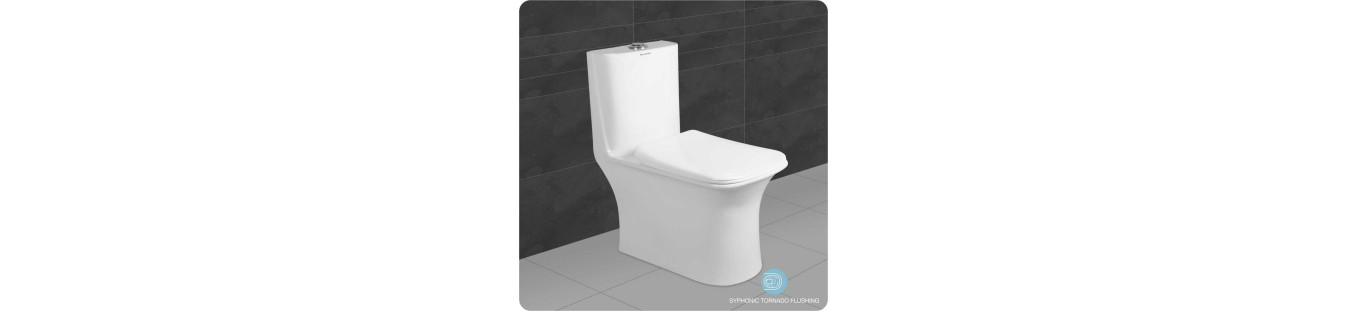 Rimless One Piece Western Commode Toilet Online in India at Best Prices