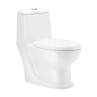 Belmonte Floor Mounted S Trap 225mm / 9 Inch Western Water Closet Toilet Cardin White Belmonte Floor Mounted S Trap 225mm / 9 Inch Western Water Closet Toilet Cardin White