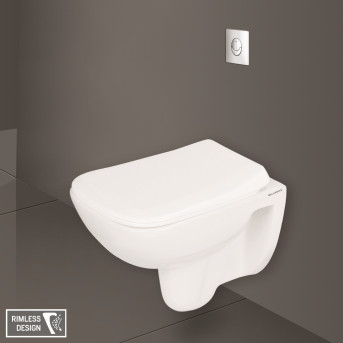 rimless toilet