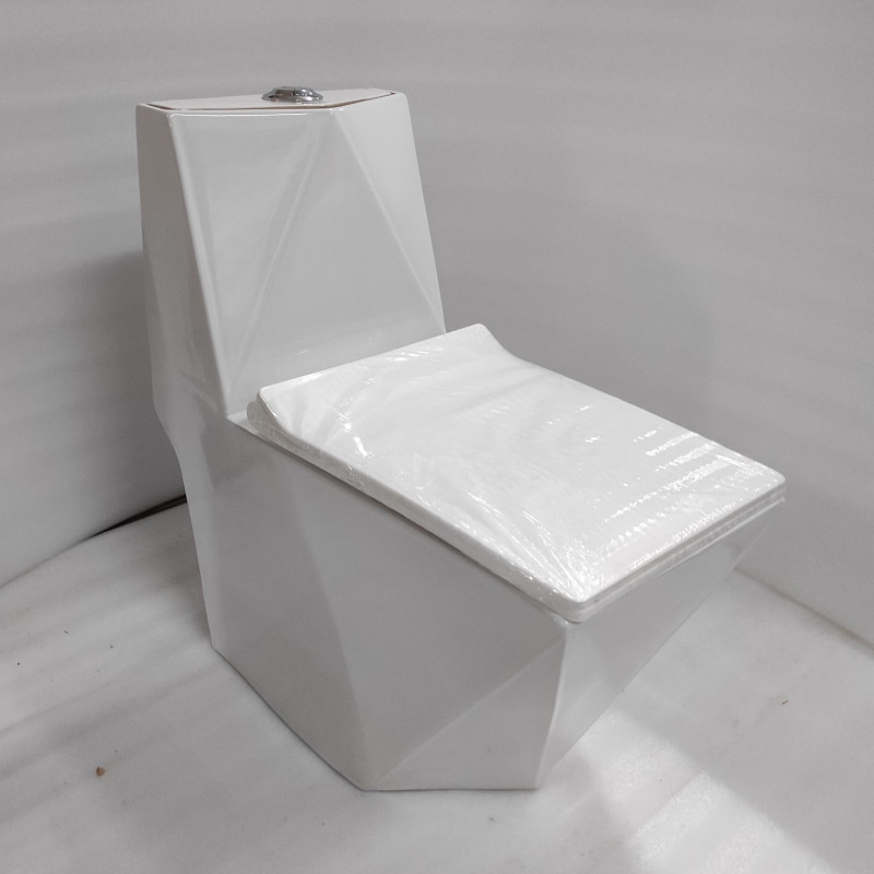 One Piece EWC - White S Trap | 9 Inch | Floor Mount Toilet