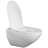 Belmonte Wall Mounted Toilet Seat / Bathroom Commode Titan White