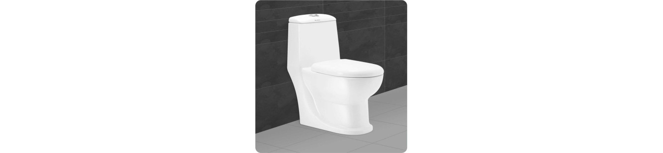 Buy S Trap One Piece Western Commode (Closets) online in India at best prices