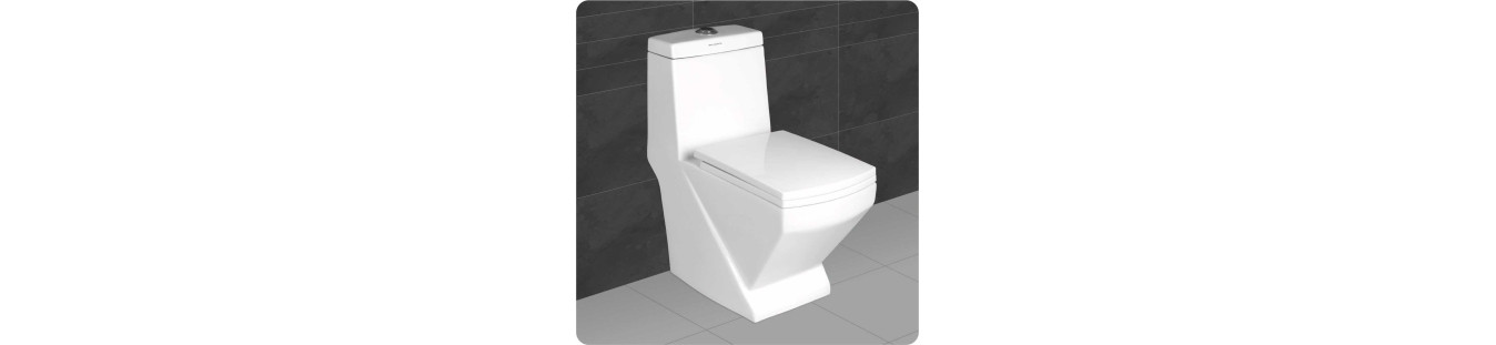 Buy P Trap One Piece Western Commode (Closets) online in India at best prices